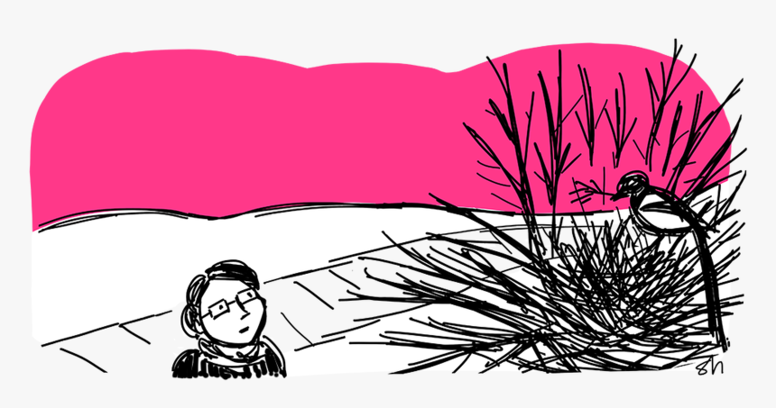 Wasted Png, Transparent Png, Free Download