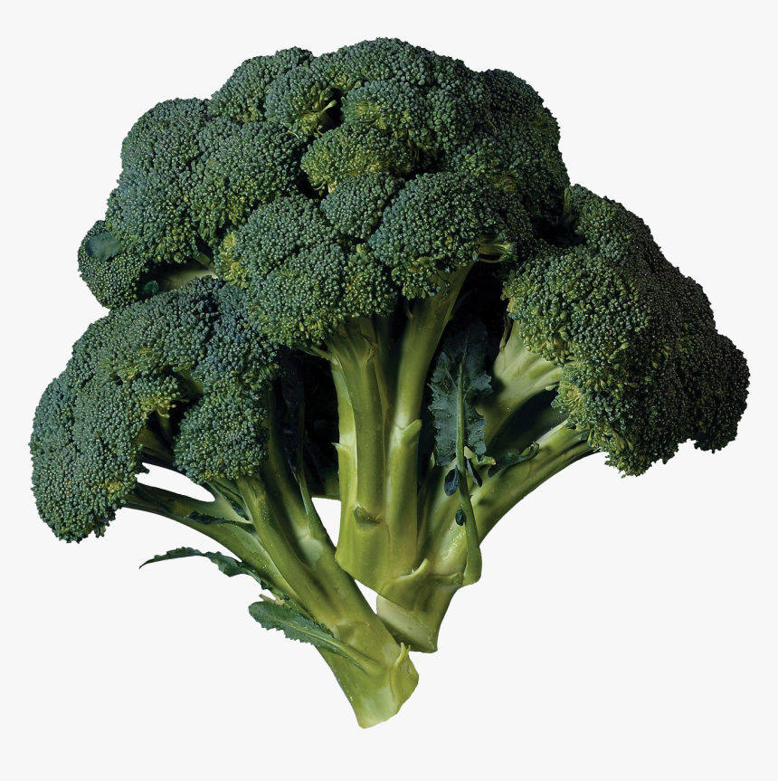 Green Broccoli Png Transparent Image, Png Download, Free Download