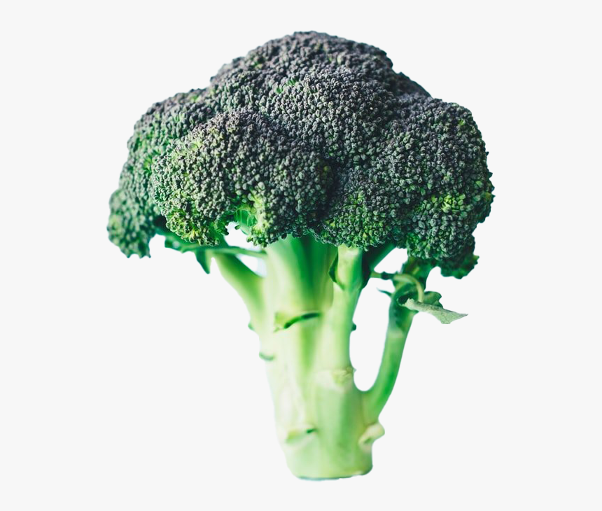 Green Broccoli Background Png, Transparent Png, Free Download