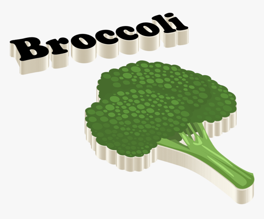 Broccoli Png Images, Transparent Png, Free Download