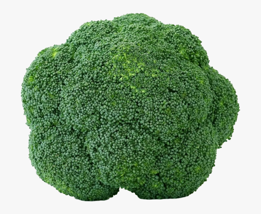 Green Broccoli Png Transparent Picture, Png Download, Free Download