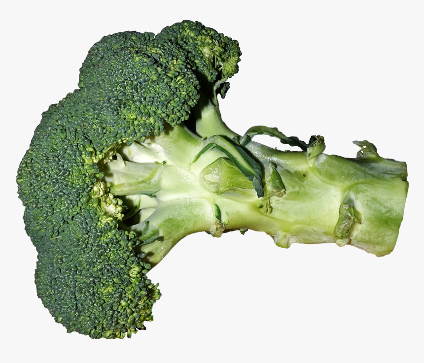 Broccoli, HD Png Download, Free Download
