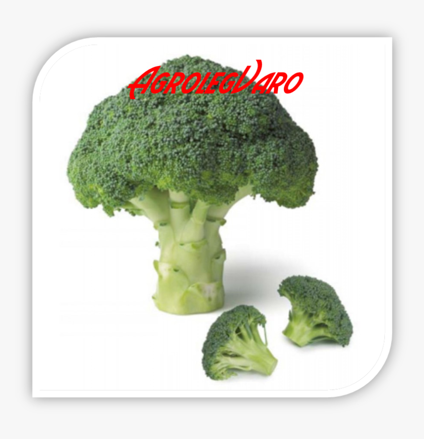 Seminte De Broccoli Agassi F1, HD Png Download, Free Download