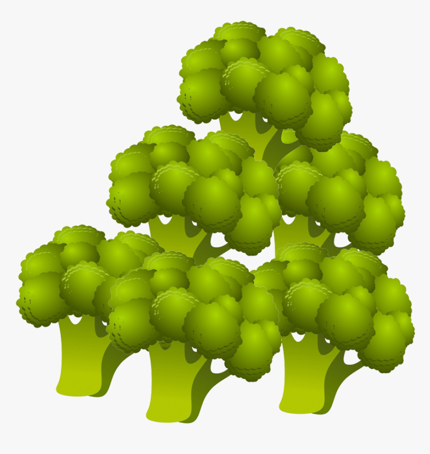 Broccoli Clipart, HD Png Download, Free Download