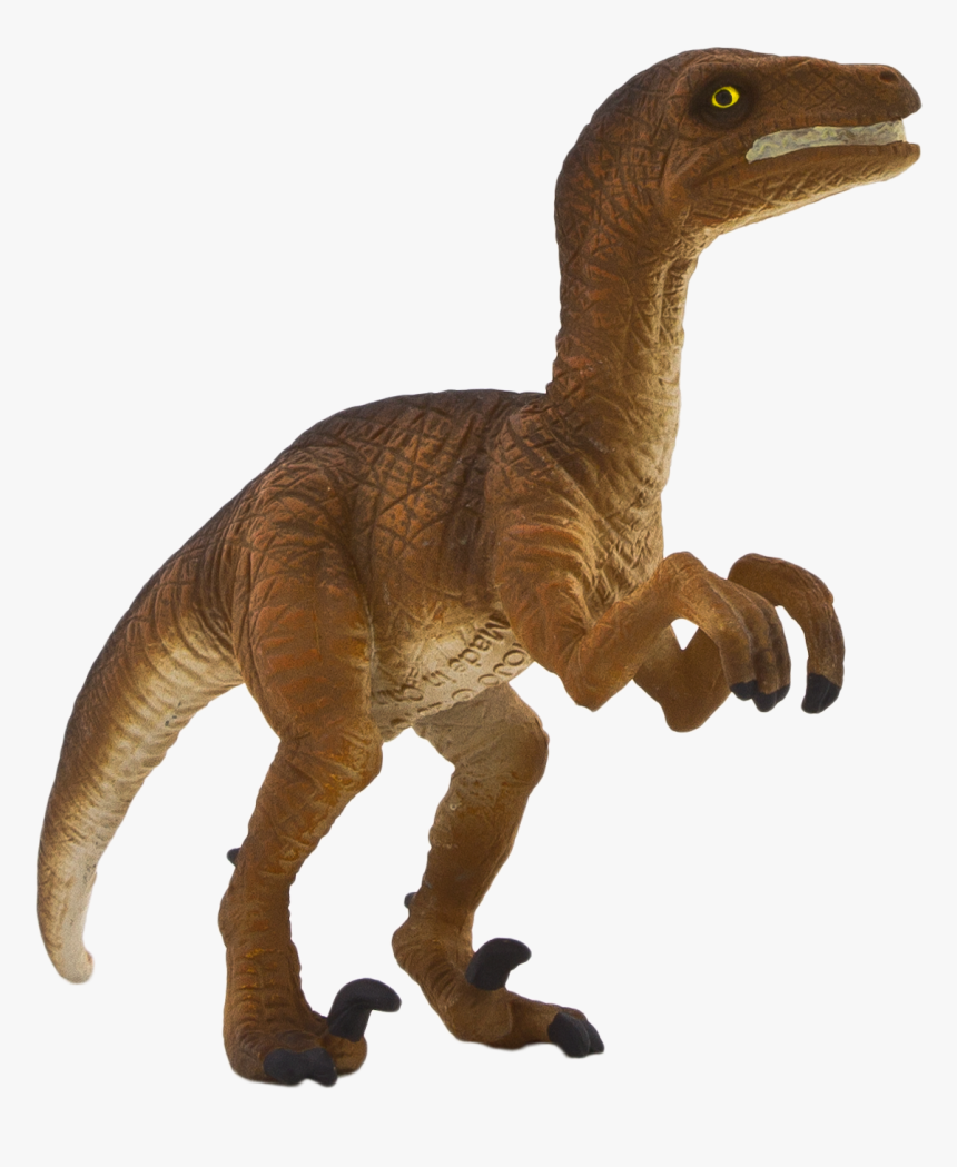 Velociraptor Png, Transparent Png, Free Download