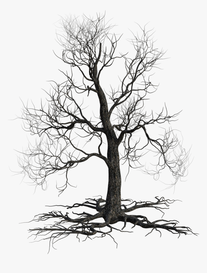 Scary Png, Transparent Png, Free Download