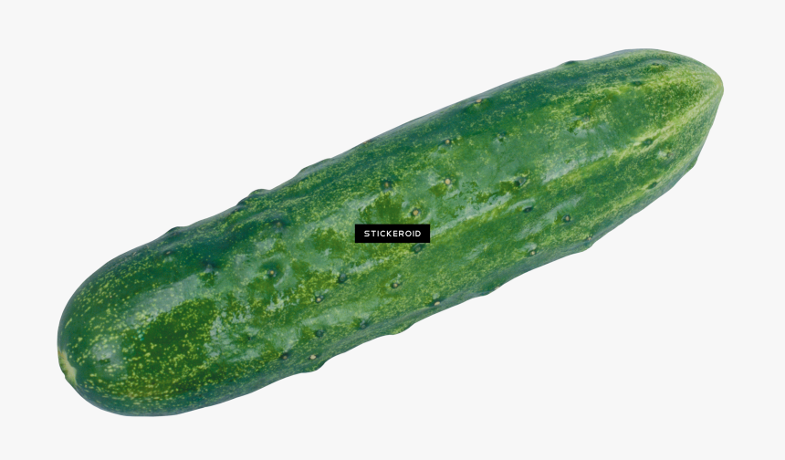 Cucumber Png , Png Download, Transparent Png, Free Download