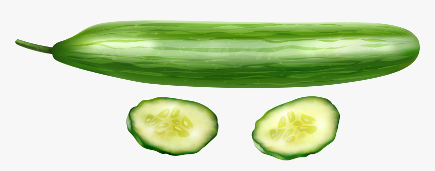 Clipart Cucumber Png , Png Download, Transparent Png, Free Download