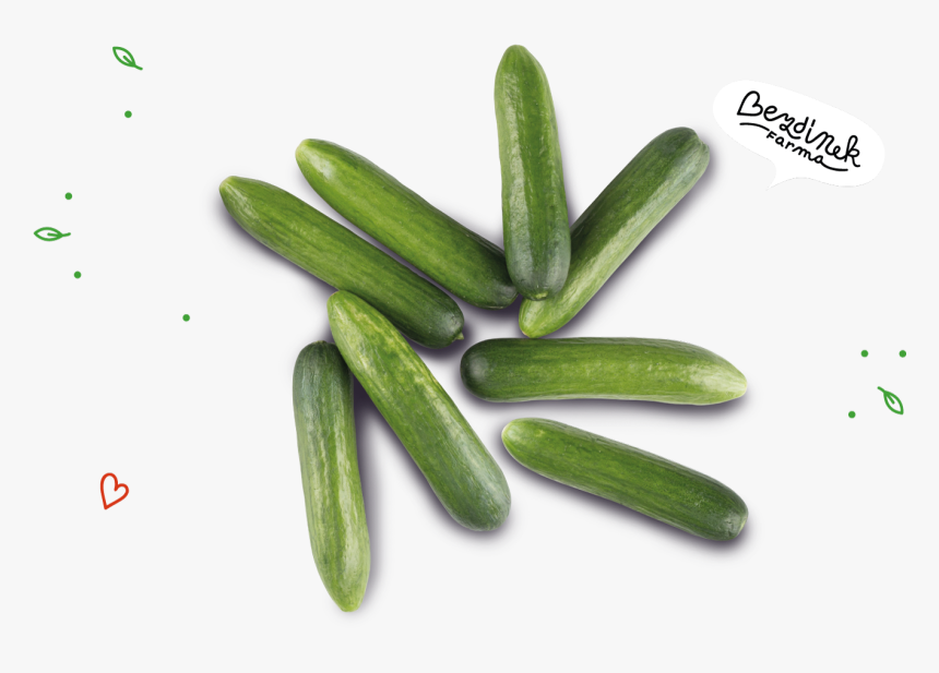 Transparent Pepino Png, Png Download, Free Download