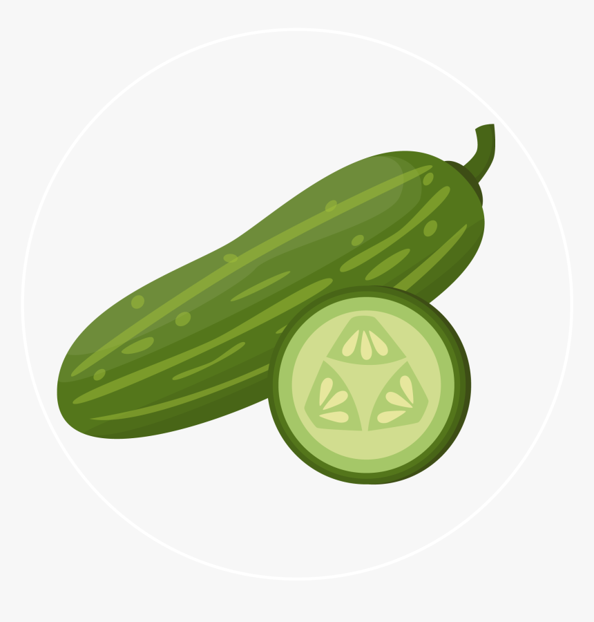 Cucumber-icon, HD Png Download, Free Download