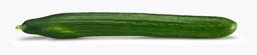 Cucumber Png, Transparent Png, Free Download