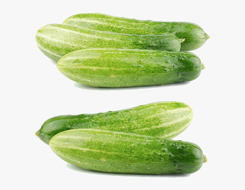 Cucumber Png, Transparent Png, Free Download