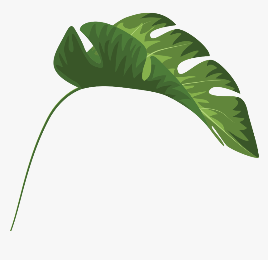 Tropical Leaves Palm Banana Monstera Mugs Clipart ,, HD Png Download, Free Download