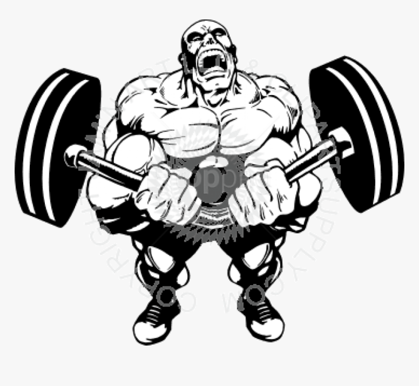 Transparent Muscle Clipart, HD Png Download, Free Download