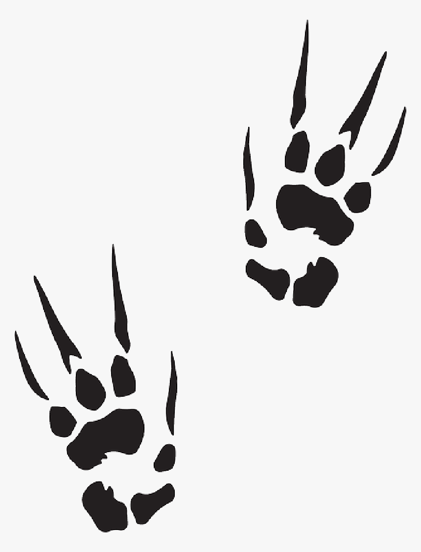 Marks, Animal, Claw, Tracks, Prints, Trail, Print,, HD Png Download, Free Download