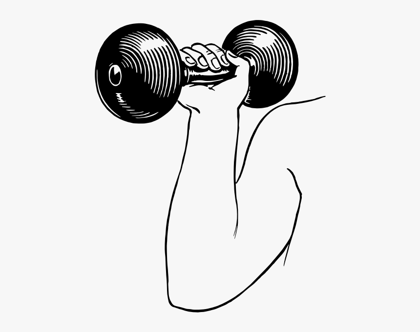 Dumbbell Drawing, HD Png Download, Free Download