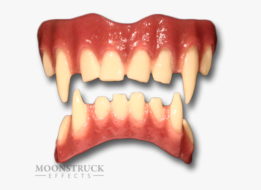 Werewolf Fangs Png, Transparent Png, Free Download