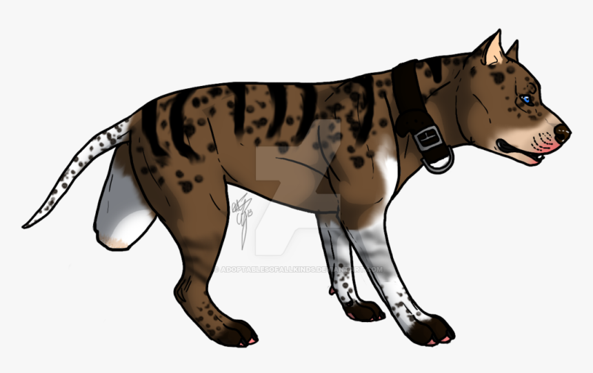 Pitbull Auction By Adoptablesofallkinds, HD Png Download, Free Download
