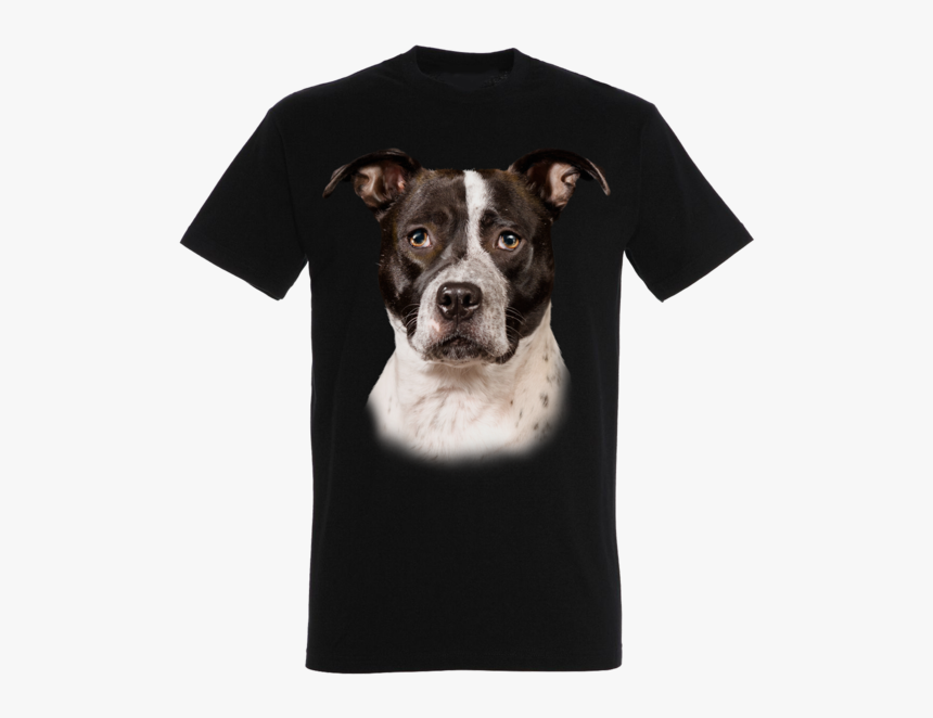 Pitbull Png, Transparent Png, Free Download