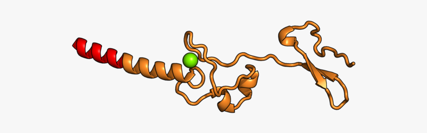 Raksha Bandhan Png, Transparent Png, Free Download