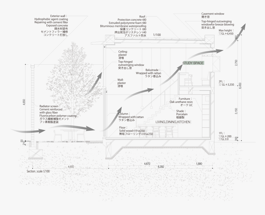 Photo, HD Png Download, Free Download