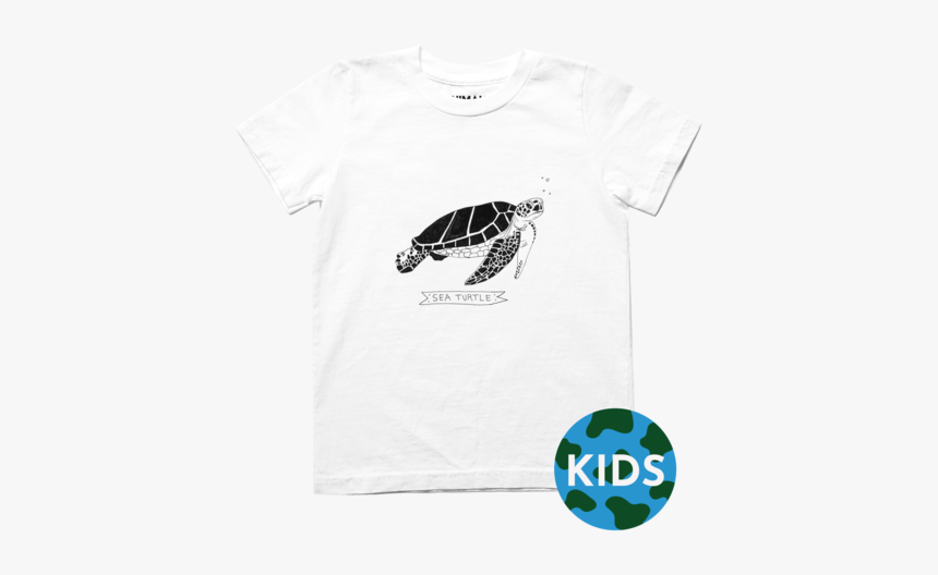 Sea Turtle Png, Transparent Png, Free Download