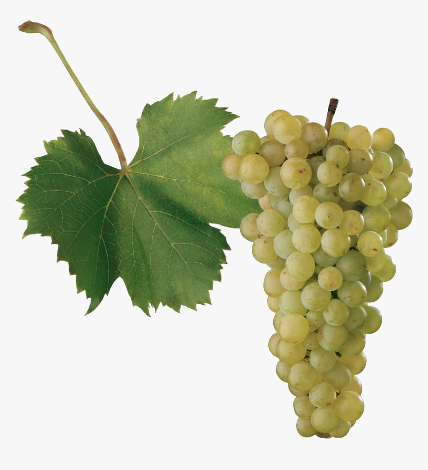 Grape Png Images, Transparent Png, Free Download