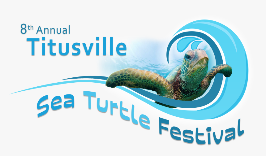 Sea Turtle Png, Transparent Png, Free Download