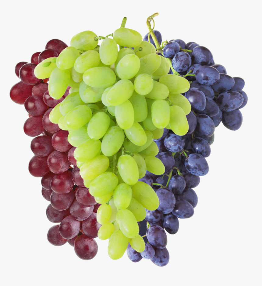 Grape Png, Transparent Png, Free Download