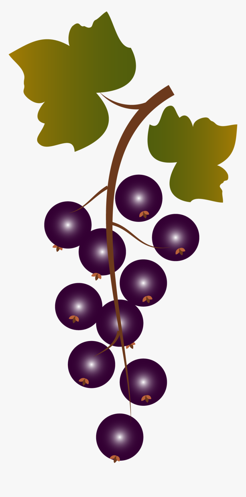 Clip Art Grape Bunch, HD Png Download, Free Download