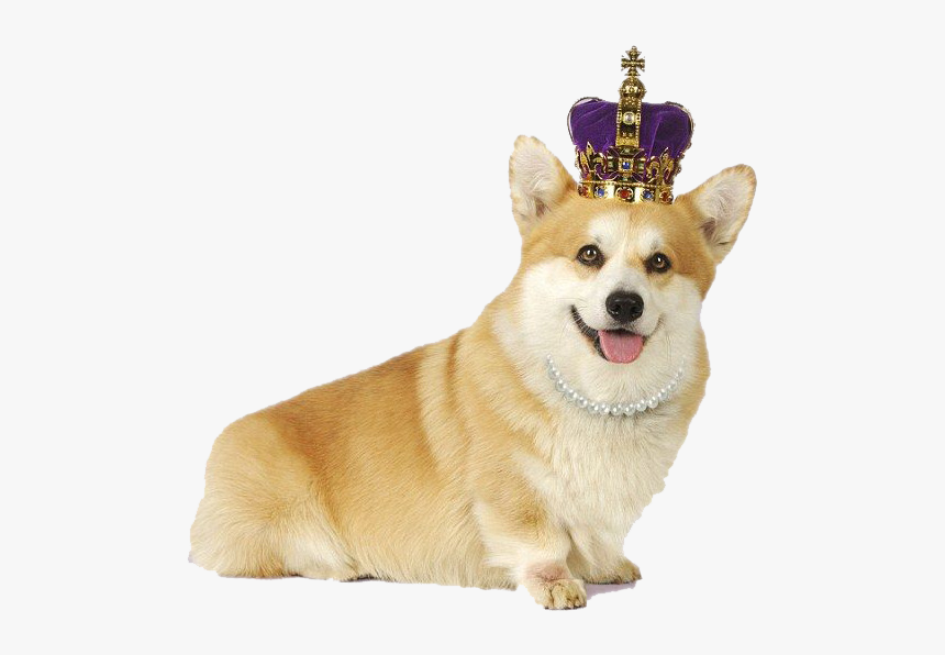 Corgi Png Transparent, Png Download, Free Download