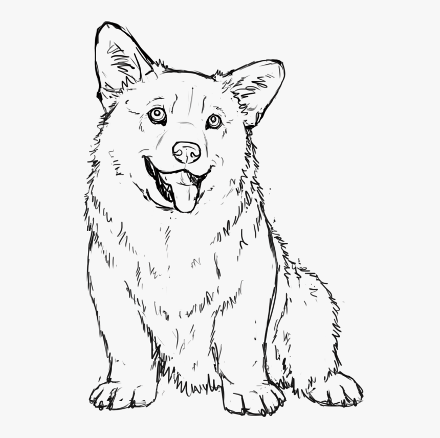 Рисунок чб корги
