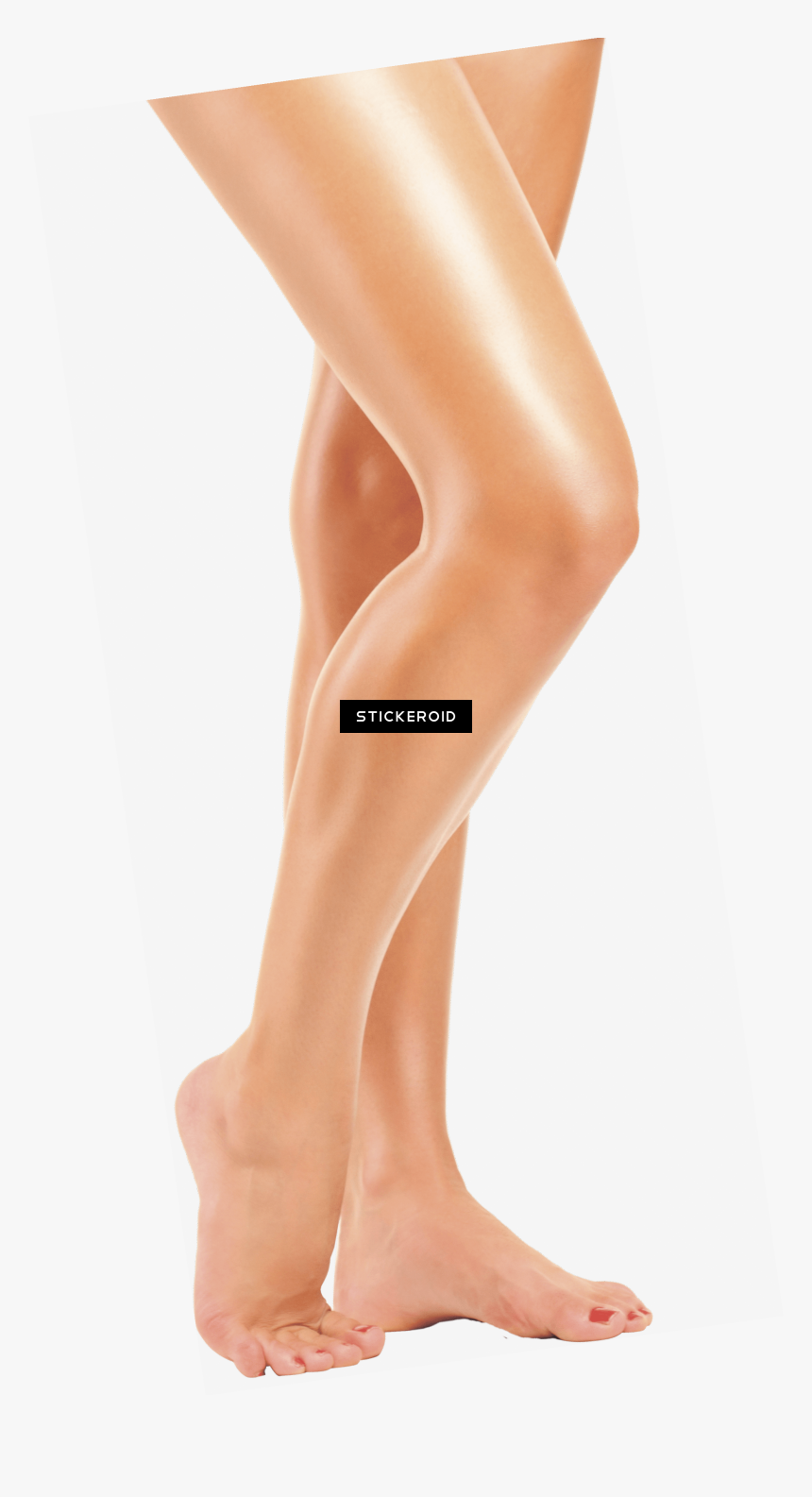 Legs Png , Png Download, Transparent Png, Free Download