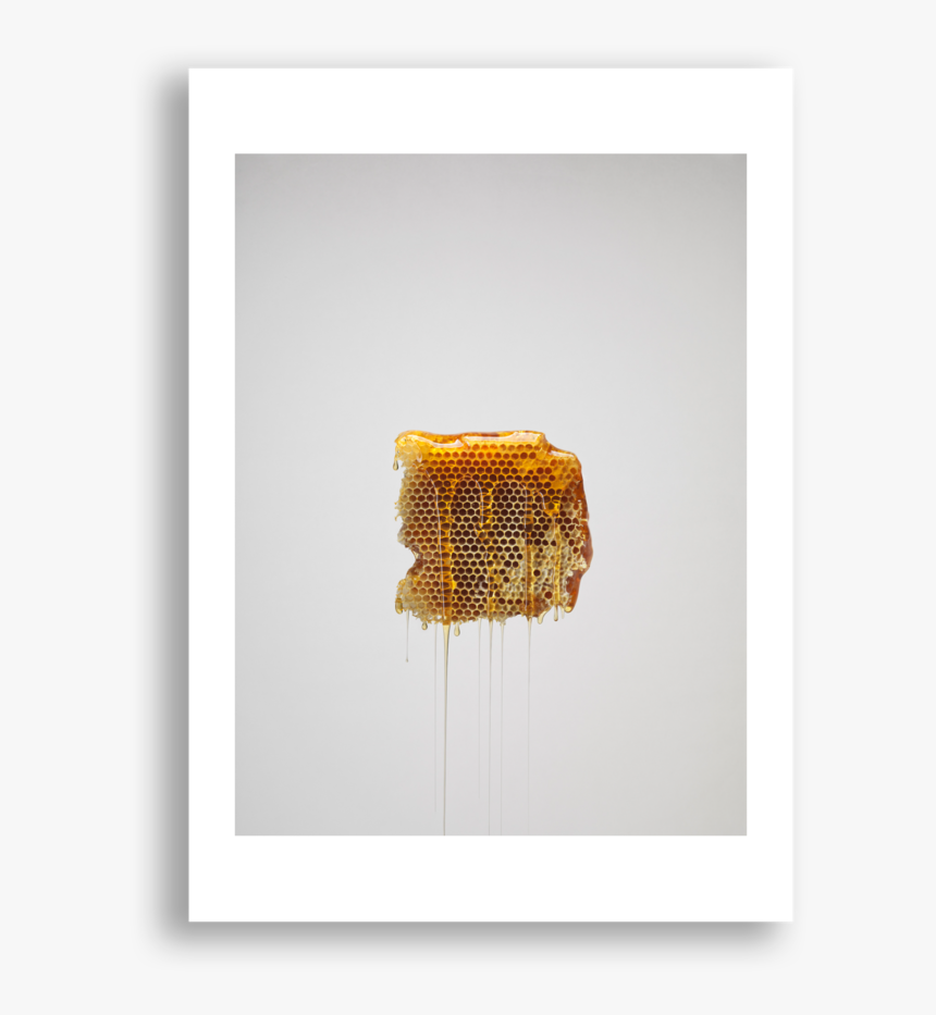 Honeycomb, HD Png Download, Free Download