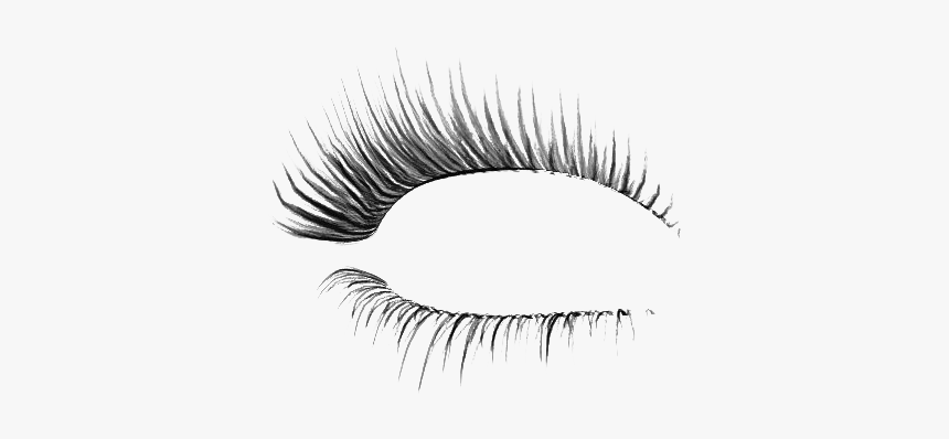 Lashes Transparent Image, HD Png Download, Free Download