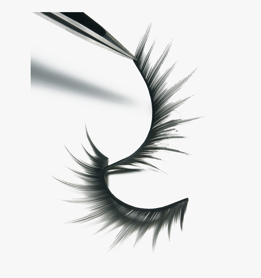 Lashes Png, Transparent Png, Free Download