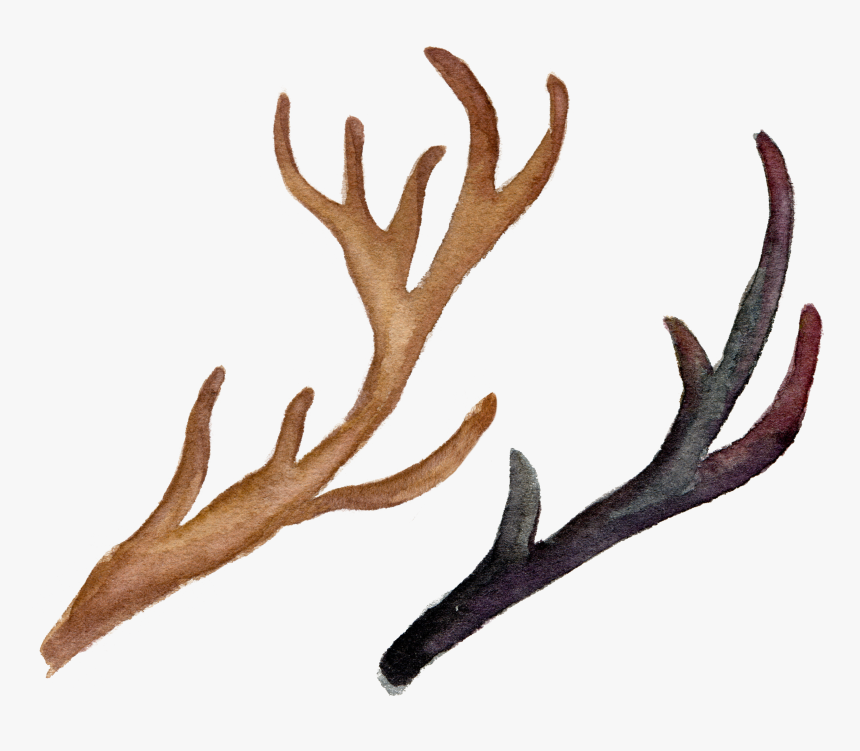 Reindeer Antler Png, Transparent Png, Free Download