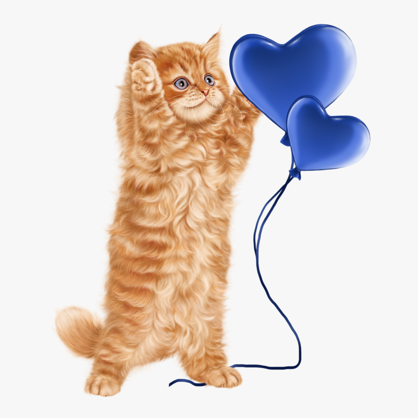 Cat In Magic Hat Clipart , Png Download, Transparent Png, Free Download