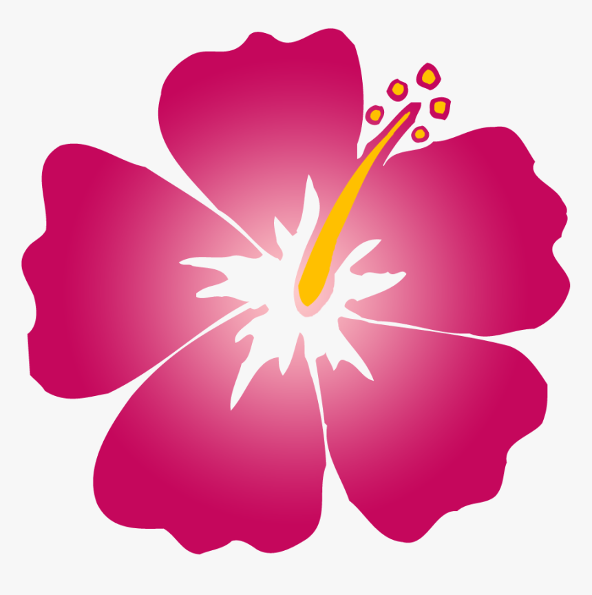 Hawaiian Hibiscus Alyogyne Huegelii Flower Clip Art, HD Png Download, Free Download