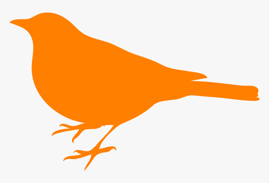 Bird Silhouette Png, Transparent Png, Free Download