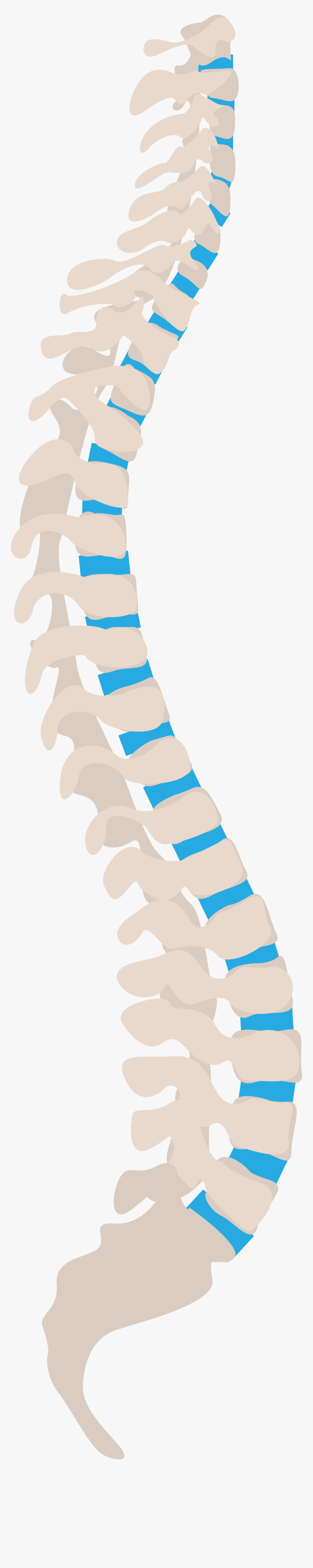 Spine Tips For Health Workers , Png Download, Transparent Png, Free Download