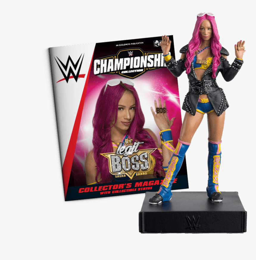 Sasha Banks Png, Transparent Png, Free Download