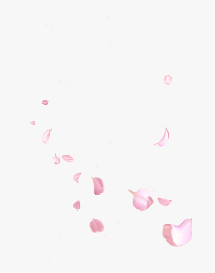 #flower #petals #flowers #pink #cherry #blossoms #cmkeller, HD Png Download, Free Download