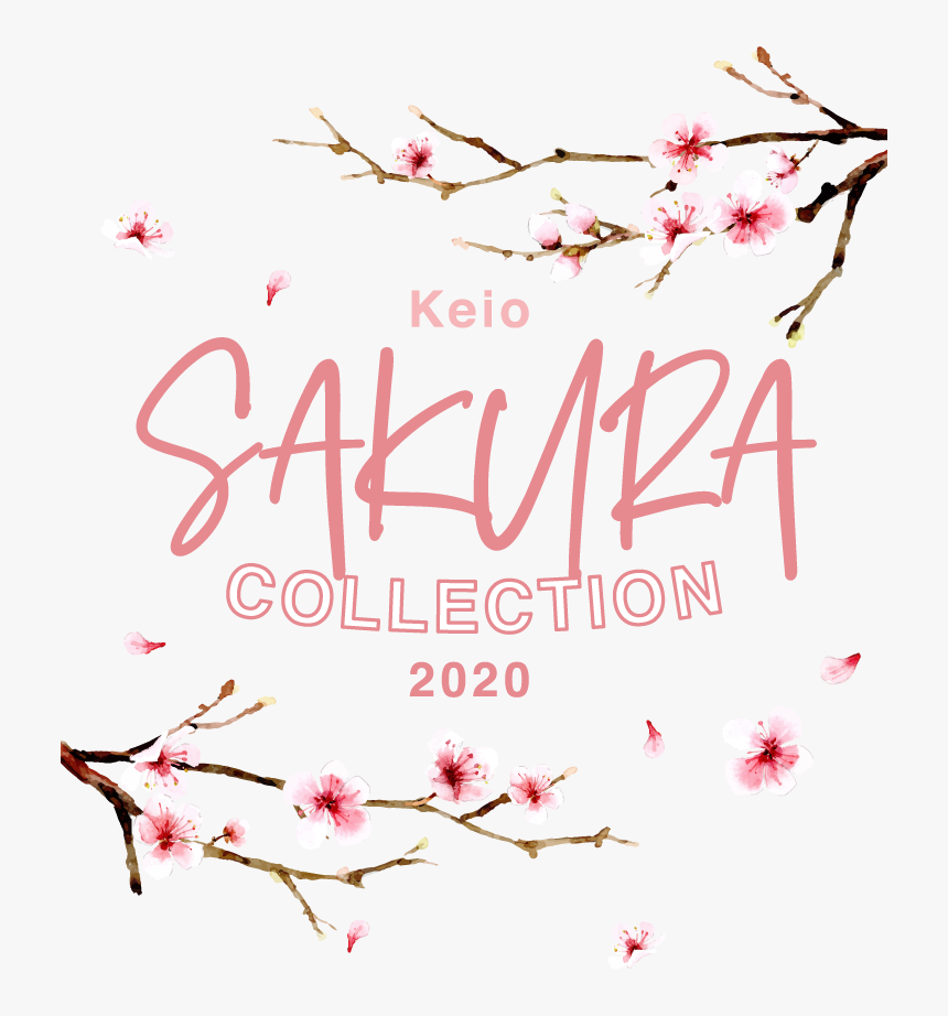 Sakura Collection｜京王百貨店 新宿店, HD Png Download, Free Download