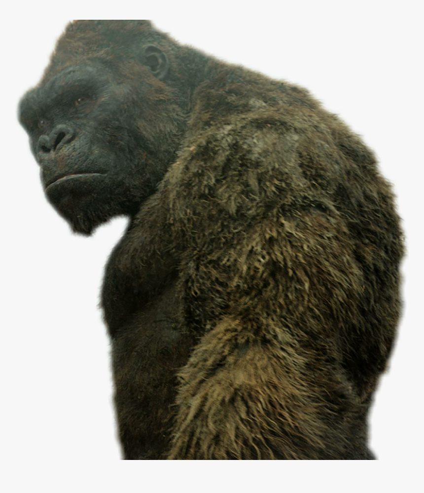 King Kong Png , Png Download, Transparent Png, Free Download