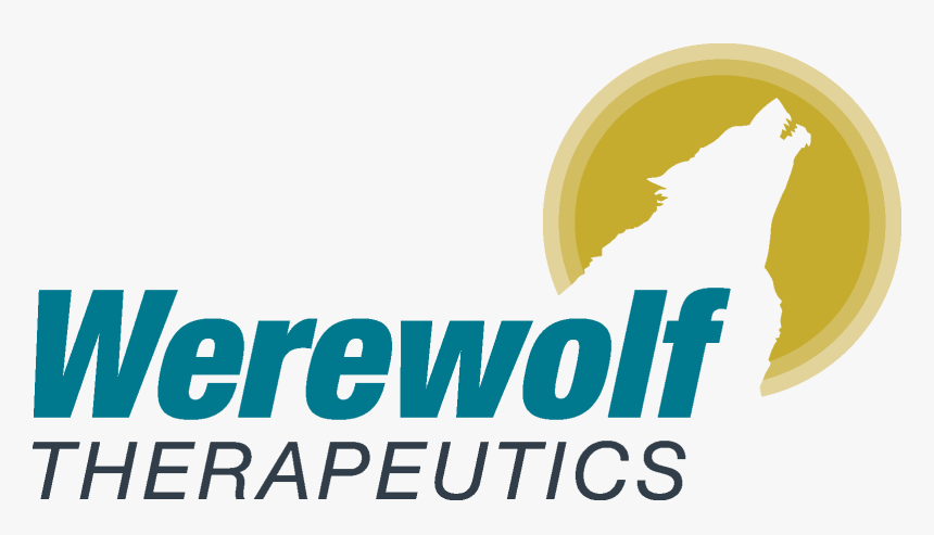 Werewolf Png, Transparent Png, Free Download