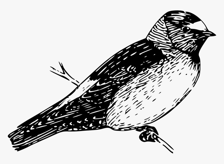 Cliff Png, Transparent Png, Free Download