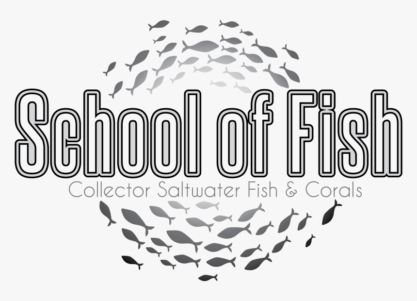 School Of Fish Png, Transparent Png, Free Download