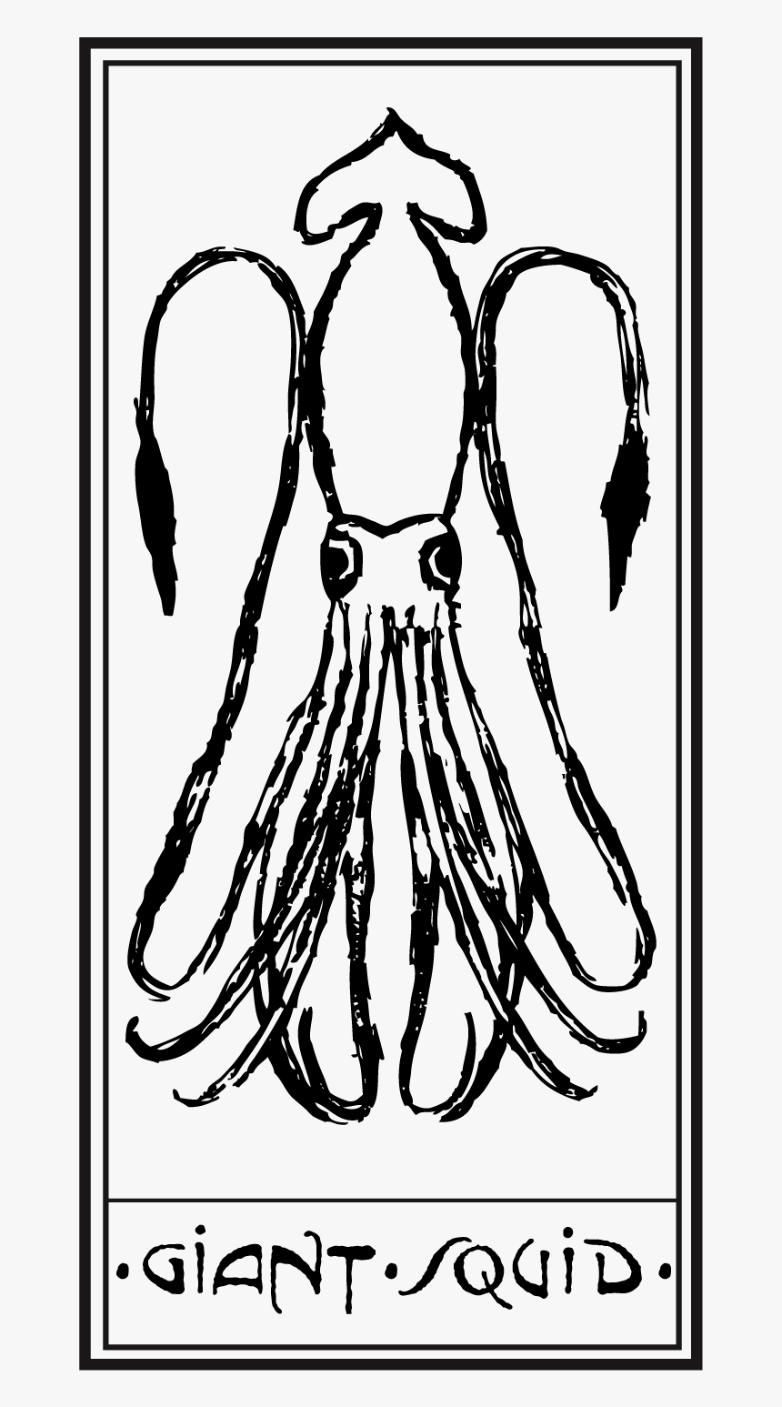 Squid, HD Png Download, Free Download