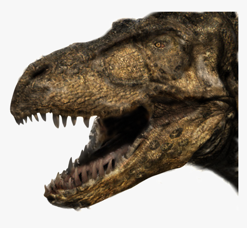 Trex Png, Transparent Png, Free Download